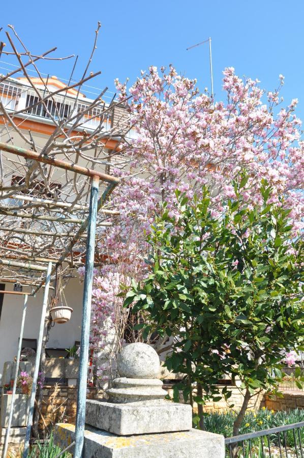 Apartman Mirna Rovinj Exteriér fotografie