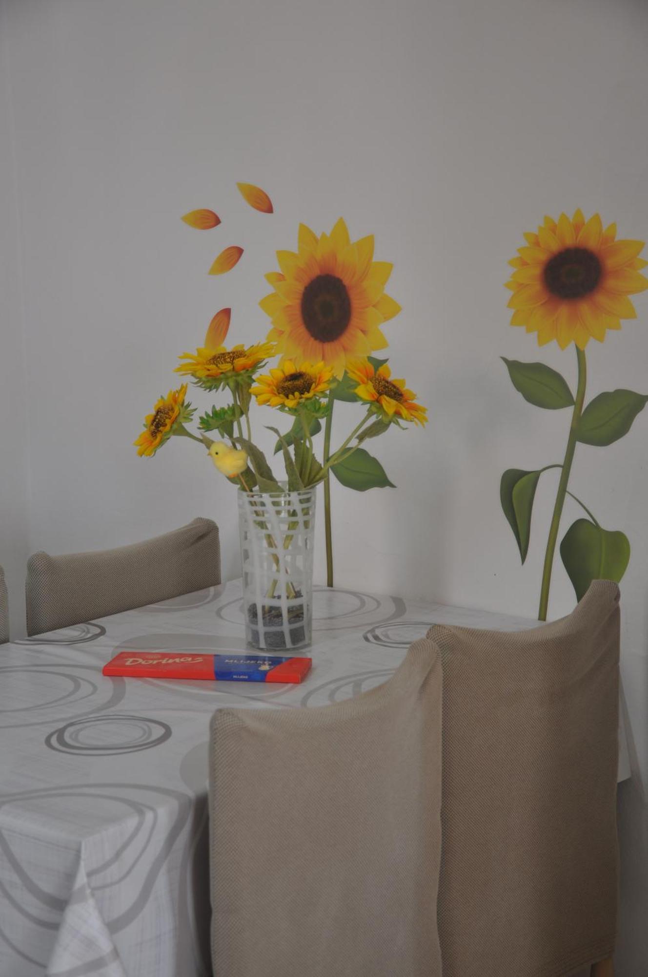 Apartman Mirna Rovinj Exteriér fotografie